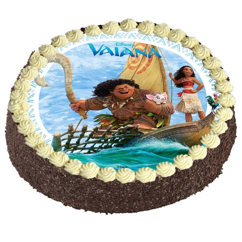 Gateau Vaiana Bebe Collection De Gateaux