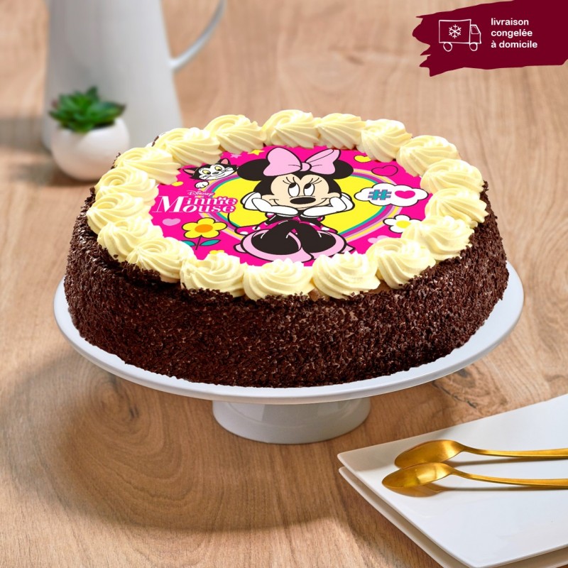 Gâteaux d'anniversaires pour enfants,gâteau à thème